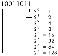 binary number values