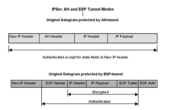 IPSec Header Diagram